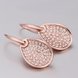 Wholesale Trendy Rose Gold Plated Rhinestone zircon water drop Dangle Earring delicate high quality earring for women wedding jewelry   TGGPDE009 1 small