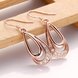 Wholesale Elegant rose gold Color AAA Cubic Zirconia dangle Earring For Women Classic water drop Crystal Earrings Female Wedding Jewelry TGGPDE013 0 small