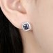 Wholesale Luxury popular Crystal Black Zircon Stone Earrings Square Earrings Silver Color Wedding Earrings For Women TGGPE006 4 small