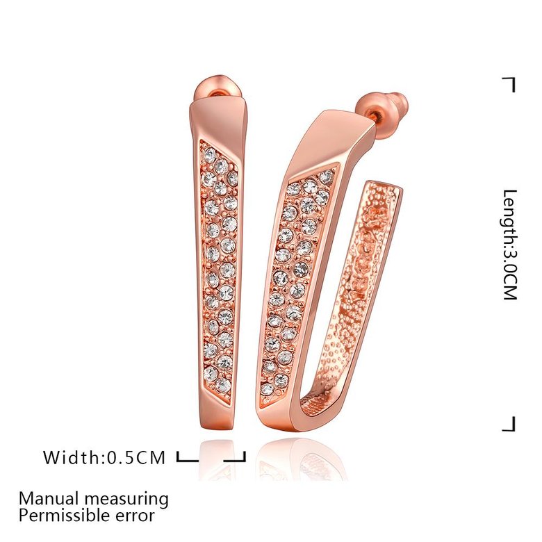 Wholesale Vintage Cubic Zirconia Stud Earrings HotSale Rose Gold Color Fashion Crystal Wedding party Jewelry For Women TGGPE138 1