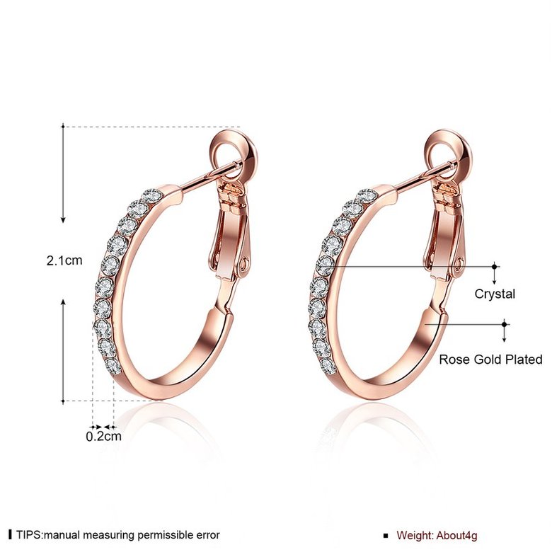 Wholesale Classic Platinum Round Rhinestone Stud Earring for women Delicate Fine Jewelry wholesale TGGPE196 1