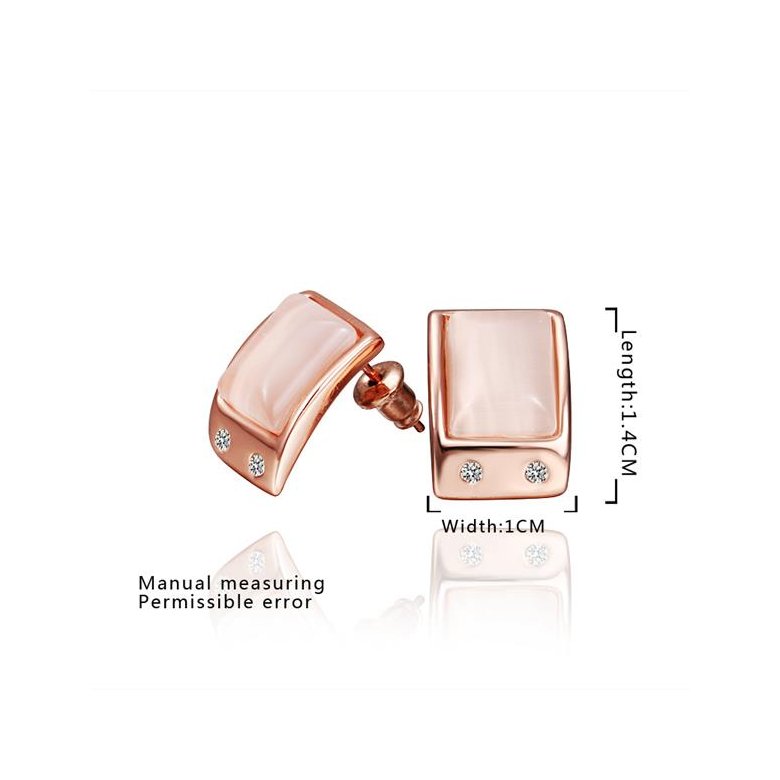 Wholesale New Product Hot Fashion Women's Charm Jewelry Simple Rectangle Rose Gold-Color Stainless Steel Stud Earring Woman Gifts TGGPE318 0