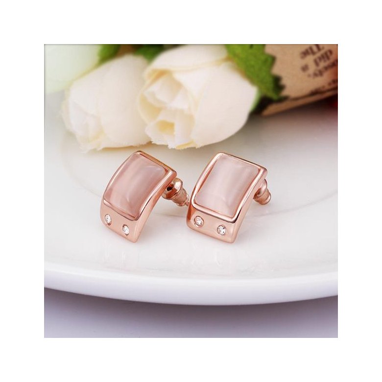 Wholesale New Product Hot Fashion Women's Charm Jewelry Simple Rectangle Rose Gold-Color Stainless Steel Stud Earring Woman Gifts TGGPE318 1