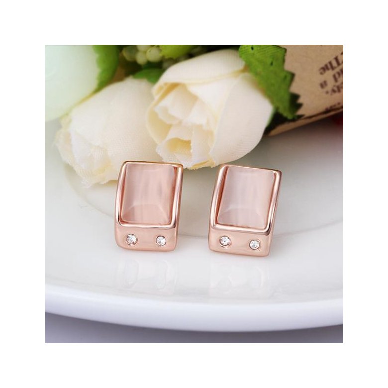 Wholesale New Product Hot Fashion Women's Charm Jewelry Simple Rectangle Rose Gold-Color Stainless Steel Stud Earring Woman Gifts TGGPE318 2