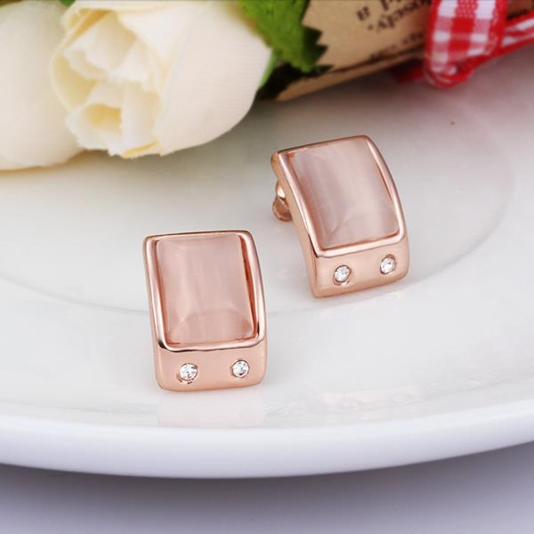 Wholesale New Product Hot Fashion Women's Charm Jewelry Simple Rectangle Rose Gold-Color Stainless Steel Stud Earring Woman Gifts TGGPE318 3