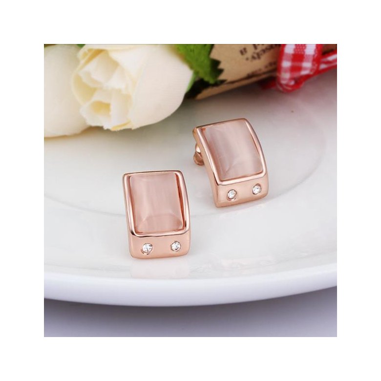 Wholesale New Product Hot Fashion Women's Charm Jewelry Simple Rectangle Rose Gold-Color Stainless Steel Stud Earring Woman Gifts TGGPE318 3