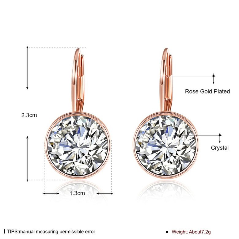 Wholesale Luxury Female white zircon Earrings Rose Gold Round Dangle Earrings For Women Hanging Water Drop Earrings fine wedding gift TGGPE028 0