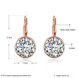 Wholesale Luxury Female white zircon Earrings Rose Gold Round Dangle Earrings For Women Hanging Water Drop Earrings fine wedding gift TGGPE028 0 small