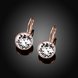 Wholesale Luxury Female white zircon Earrings Rose Gold Round Dangle Earrings For Women Hanging Water Drop Earrings fine wedding gift TGGPE028 1 small