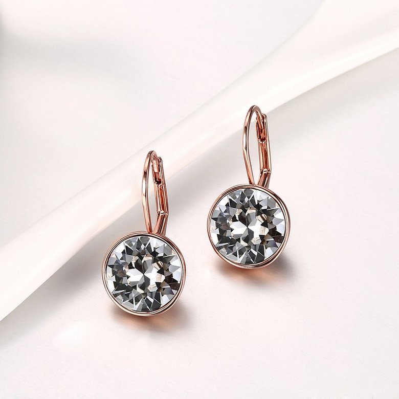 Wholesale Luxury Female white zircon Earrings Rose Gold Round Dangle Earrings For Women Hanging Water Drop Earrings fine wedding gift TGGPE028 2