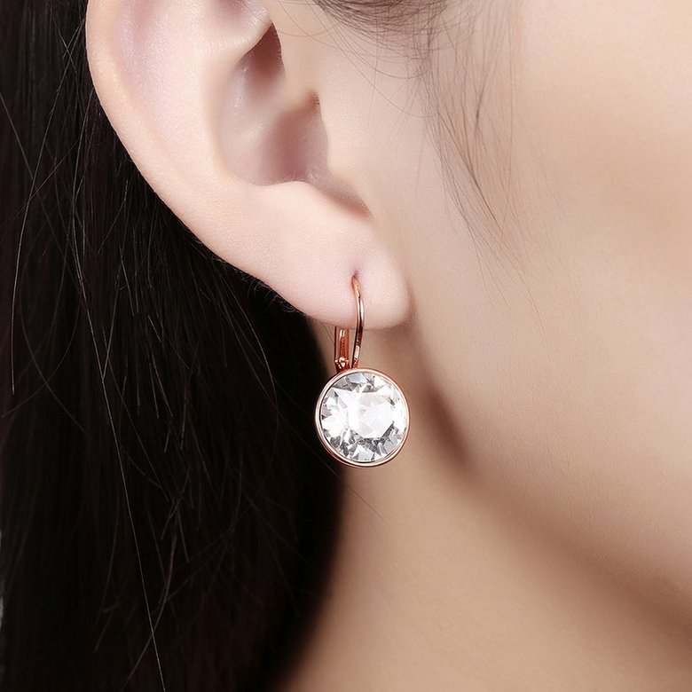 Wholesale Luxury Female white zircon Earrings Rose Gold Round Dangle Earrings For Women Hanging Water Drop Earrings fine wedding gift TGGPE028 4