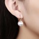 Wholesale Luxury Female white zircon Earrings Rose Gold Round Dangle Earrings For Women Hanging Water Drop Earrings fine wedding gift TGGPE028 4 small