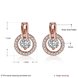 Wholesale Trendy Cubic Zirconia Gold Hoop Round Earrings Luxury Brand Pave High Quality Crystal Drop Earrings For Women Korean Jewelry TGGPE089 0 small