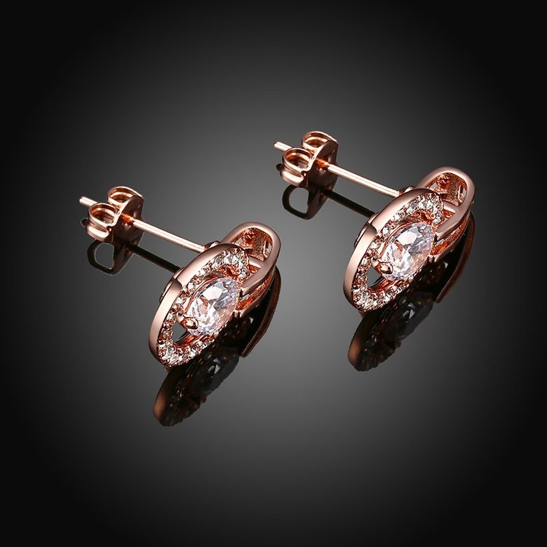Wholesale Trendy Cubic Zirconia Gold Hoop Round Earrings Luxury Brand Pave High Quality Crystal Drop Earrings For Women Korean Jewelry TGGPE089 1