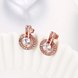 Wholesale Trendy Cubic Zirconia Gold Hoop Round Earrings Luxury Brand Pave High Quality Crystal Drop Earrings For Women Korean Jewelry TGGPE089 3 small