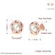 Wholesale Romantic Rose Gold Star Pearl Stud Earring For Women Wedding Jewelry Bridal fashion Accessories TGGPE261 0 small