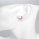 Wholesale Romantic Rose Gold Star Pearl Stud Earring For Women Wedding Jewelry Bridal fashion Accessories TGGPE261 4 small