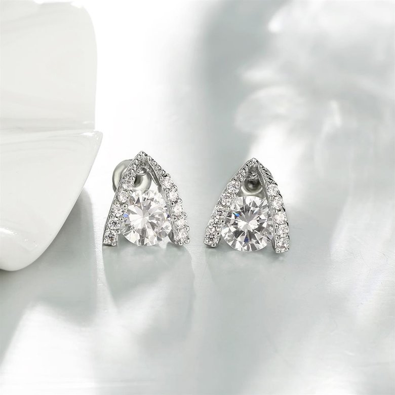 Wholesale Korean style Luxury Ladies Big Round Zircon Earrings Rose Gold Earrings Wedding jewlry For Women TGGPE016 2