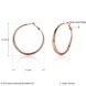 Wholesale Romantic Rose Gold Round Hoop Earring High Quality Vintage Big Round Hoop Earrings For Women Jewelry Hot Sale  TGHE059 0 small