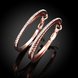 Wholesale Romantic Rose Gold Round zircon Hoop Earring High Quality Vintage Big Round Hoop Earrings For Women Jewelry Hot Sale  TGHE060 1 small
