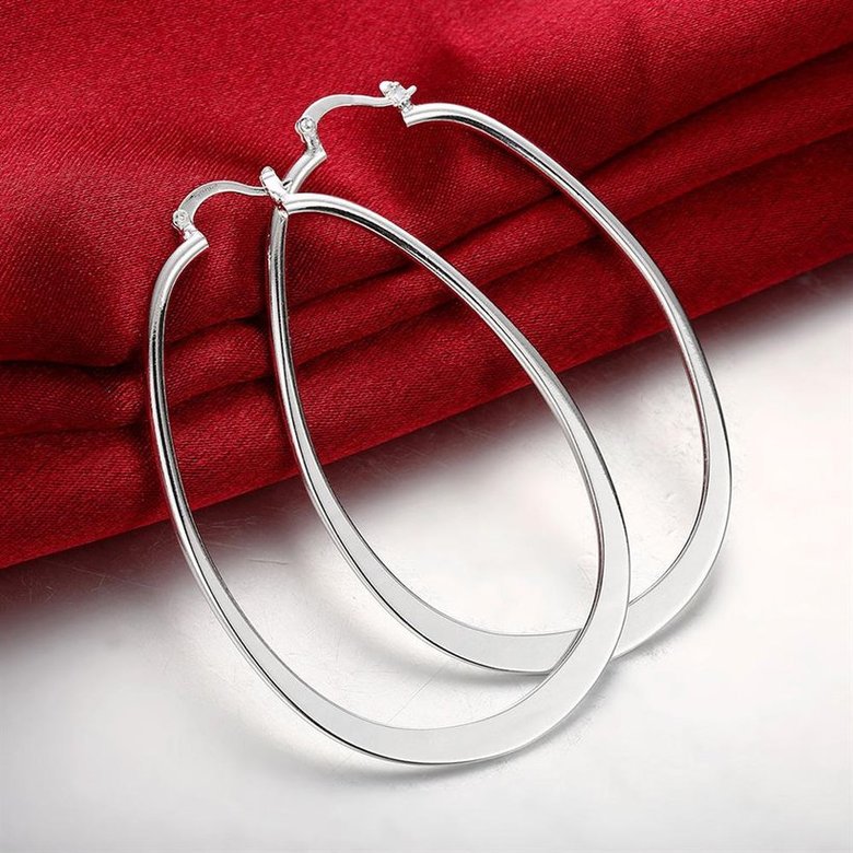 Wholesale Trendy Hot Sale Silver plated Simple U Shaped Hoop Earrings For Women Fashion Jewelry Wedding Accessories  TGHE001 1