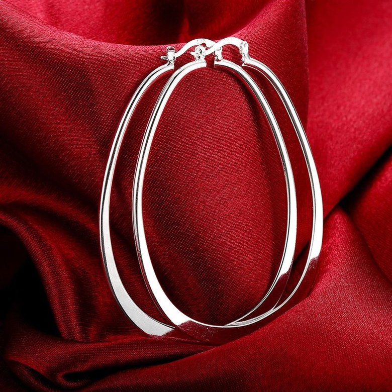 Wholesale Trendy Hot Sale Silver plated Simple U Shaped Hoop Earrings For Women Fashion Jewelry Wedding Accessories  TGHE001 2