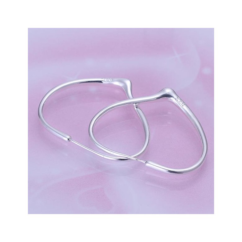 Wholesale Trendy Silver plated Geometric Hoop Earring For Woman Fashion Party Jewelry TGHE002 1