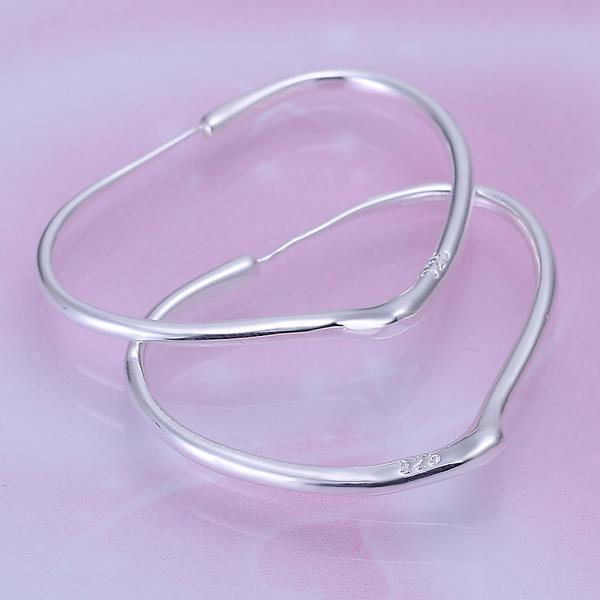 Wholesale Trendy Silver plated Geometric Hoop Earring For Woman Fashion Party Jewelry TGHE002 2