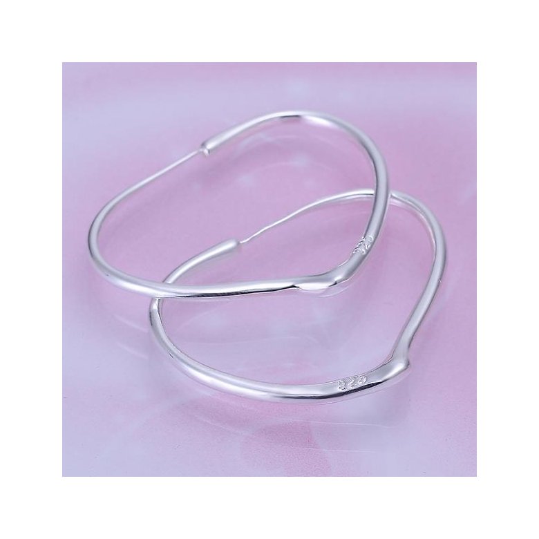 Wholesale Trendy Silver plated Geometric Hoop Earring For Woman Fashion Party Jewelry TGHE002 2