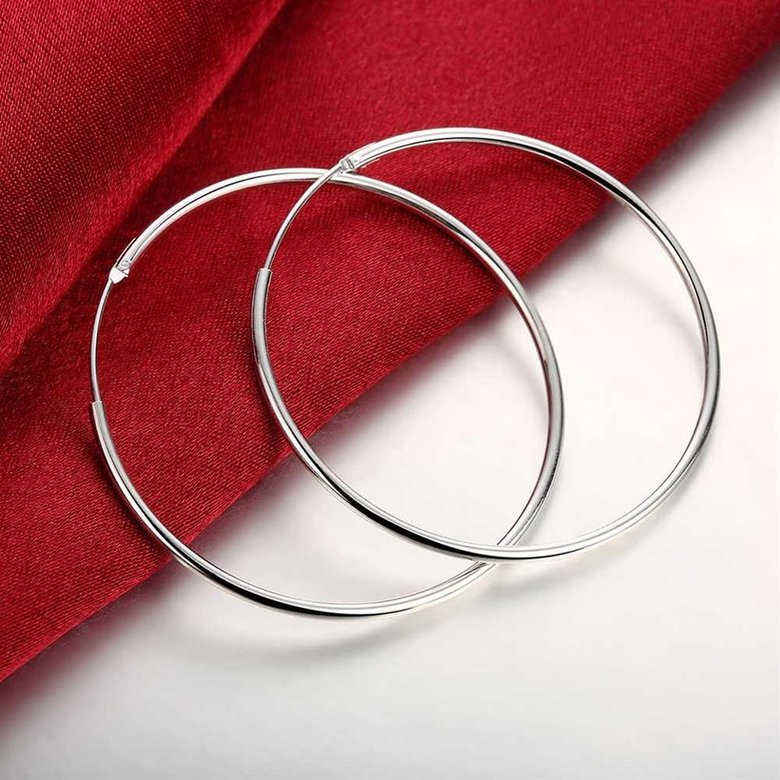 Wholesale Classic Trendy Silver plated Circle Hoop Earrings Round Stylish Earrings for women Engagement Christmas Gift TGHE003 1