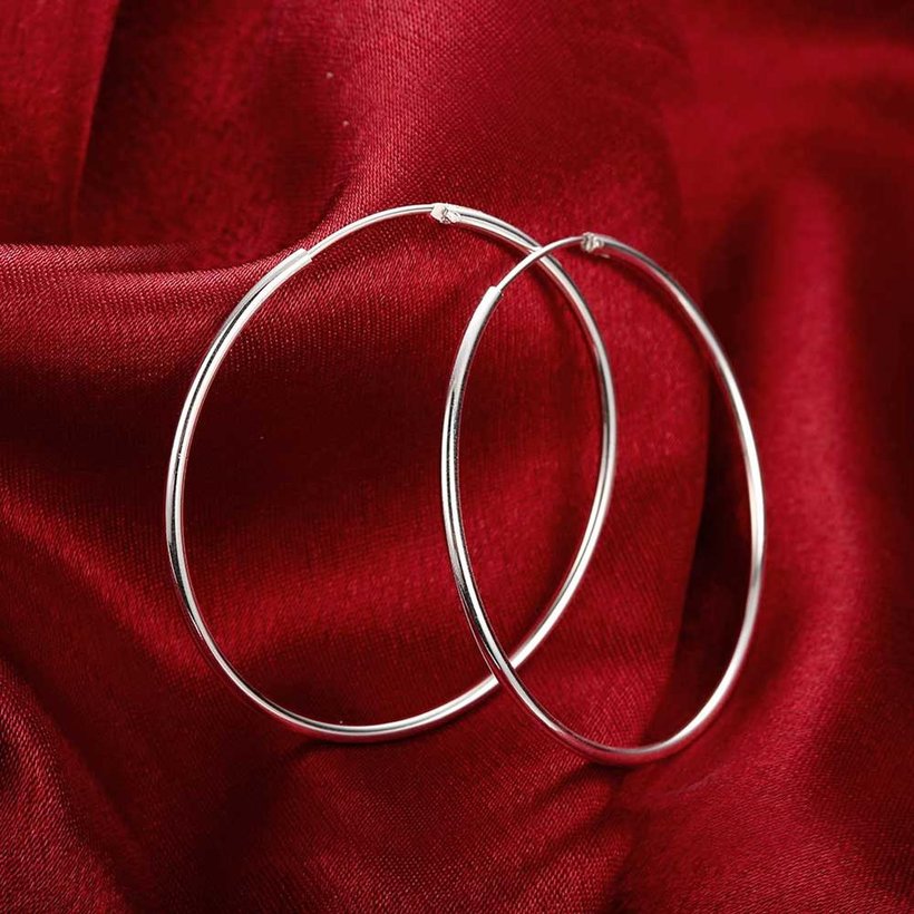 Wholesale Classic Trendy Silver plated Circle Hoop Earrings Round Stylish Earrings for women Engagement Christmas Gift TGHE003 2