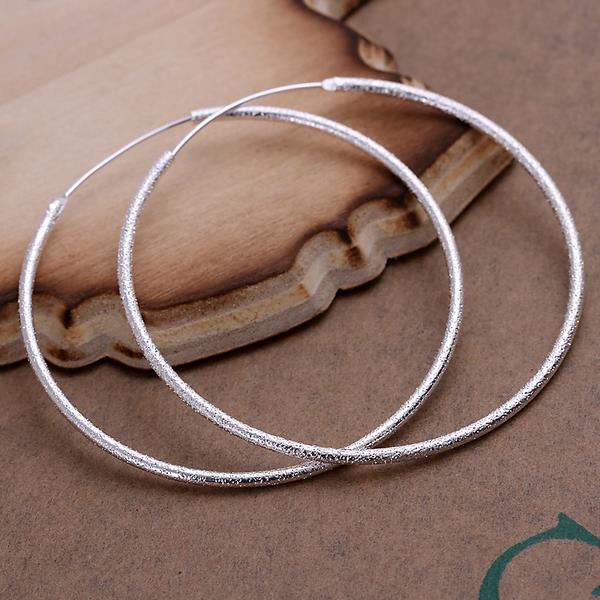 Wholesale Classic Trendy Silver plated Circle Hoop Earrings Round Stylish Earrings for women Engagement Christmas Gift TGHE005 0