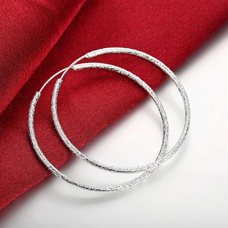 Wholesale Classic Trendy Silver plated Circle Hoop Earrings Round Stylish Earrings for women Engagement Christmas Gift TGHE005 3