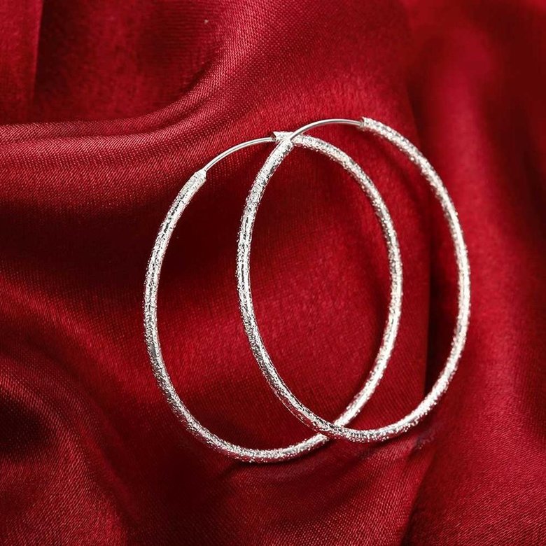 Wholesale Classic Trendy Silver plated Circle Hoop Earrings Round Stylish Earrings for women Engagement Christmas Gift TGHE005 4