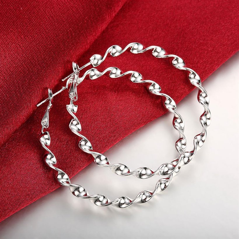 Wholesale Classic Trendy Silver plated Circle Twisted Hoop Earrings Round Stylish Earrings for women Engagement Christmas Gift TGHE006 3