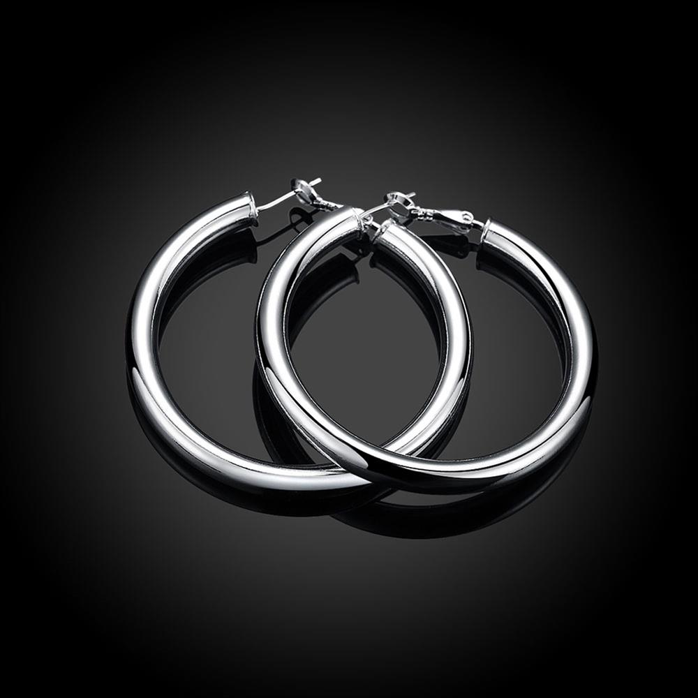 Wholesale Classic Trendy Silver plated Circle Hoop Earrings Round Stylish Earrings for women Engagement Christmas Gift TGHE007 1