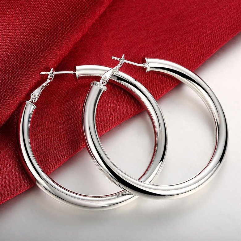 Wholesale Classic Trendy Silver plated Circle Hoop Earrings Round Stylish Earrings for women Engagement Christmas Gift TGHE007 2