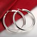 Wholesale Classic Trendy Silver plated Circle Hoop Earrings Round Stylish Earrings for women Engagement Christmas Gift TGHE007 2 small