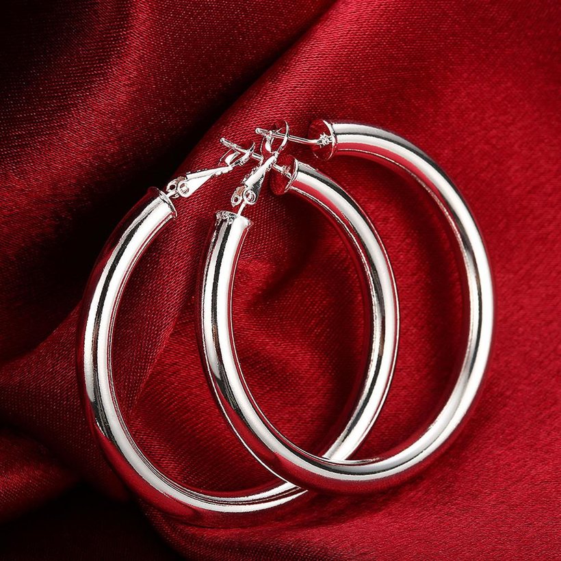 Wholesale Classic Trendy Silver plated Circle Hoop Earrings Round Stylish Earrings for women Engagement Christmas Gift TGHE007 3