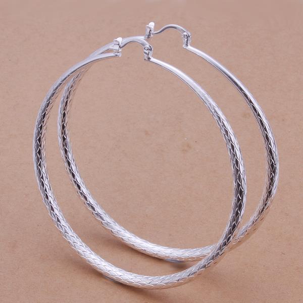 Wholesale Classic Trendy Silver plated Circle Hoop Earrings Round Stylish Earrings for women Engagement Christmas Gift TGHE010 0