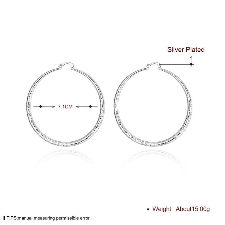 Wholesale Classic Trendy Silver plated Circle Hoop Earrings Round Stylish Earrings for women Engagement Christmas Gift TGHE010 1