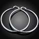 Wholesale Classic Trendy Silver plated Circle Hoop Earrings Round Stylish Earrings for women Engagement Christmas Gift TGHE010 2 small
