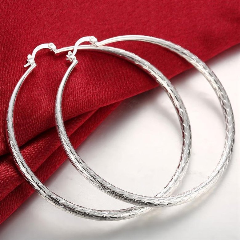 Wholesale Classic Trendy Silver plated Circle Hoop Earrings Round Stylish Earrings for women Engagement Christmas Gift TGHE010 3