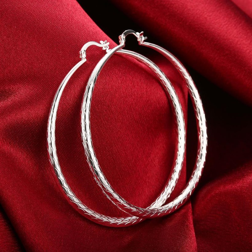Wholesale Classic Trendy Silver plated Circle Hoop Earrings Round Stylish Earrings for women Engagement Christmas Gift TGHE010 4