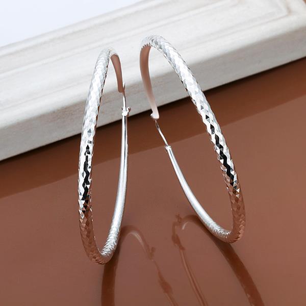Wholesale Classic Trendy Silver plated Circle Hoop Earrings Round Stylish Earrings for women Engagement Christmas Gift TGHE011 0