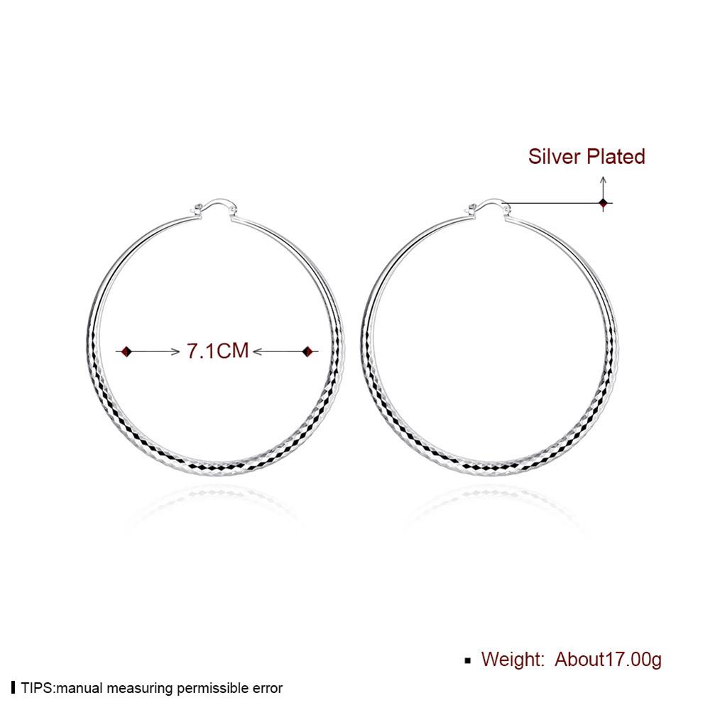 Wholesale Classic Trendy Silver plated Circle Hoop Earrings Round Stylish Earrings for women Engagement Christmas Gift TGHE011 1