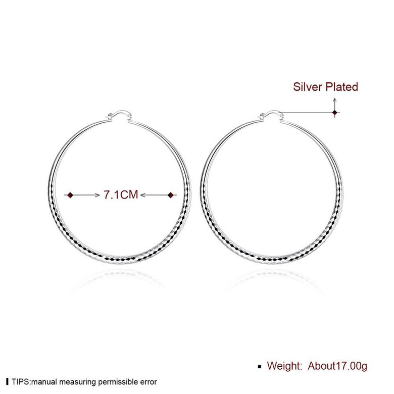 Wholesale Classic Trendy Silver plated Circle Hoop Earrings Round Stylish Earrings for women Engagement Christmas Gift TGHE011 1