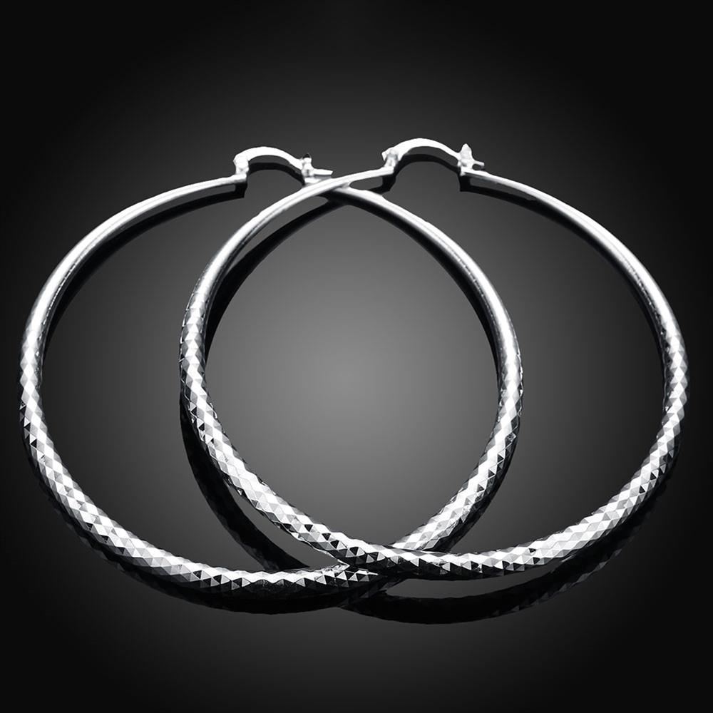 Wholesale Classic Trendy Silver plated Circle Hoop Earrings Round Stylish Earrings for women Engagement Christmas Gift TGHE011 2