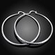 Wholesale Classic Trendy Silver plated Circle Hoop Earrings Round Stylish Earrings for women Engagement Christmas Gift TGHE011 2 small
