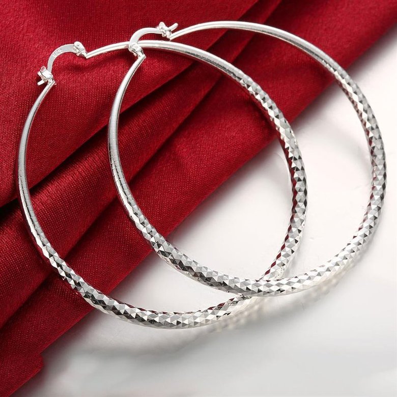 Wholesale Classic Trendy Silver plated Circle Hoop Earrings Round Stylish Earrings for women Engagement Christmas Gift TGHE011 3